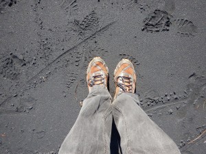 Taupo - Mt Egmont-023